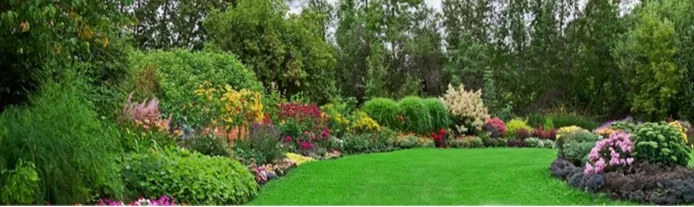 Expert yard cleanup service experts serving Westborough, MA - Ryan O'Connor Property Care