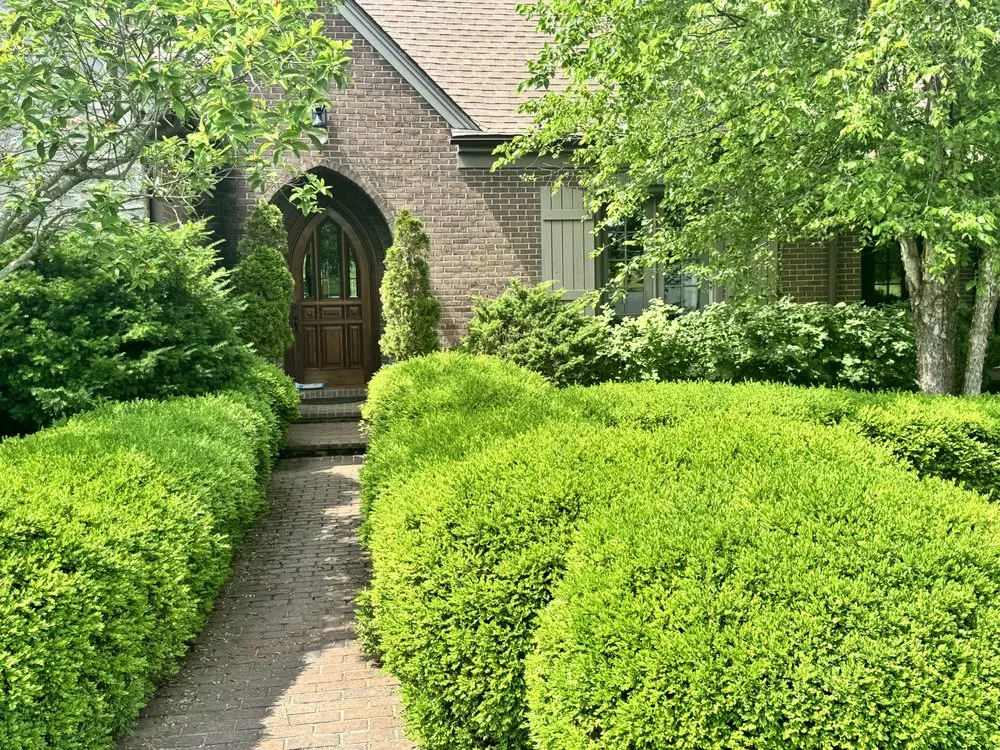 Top-rated landscape design for year-round maintenance in Lexington-Fayette, KY by Ryanclayton