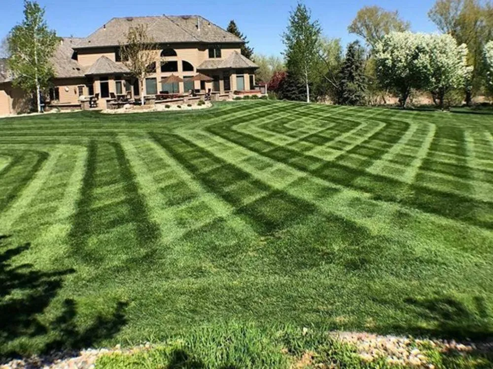 Trusted yard cleanup service for homes across Ellisville, MO - Ryan's Express Complete Lawn Service