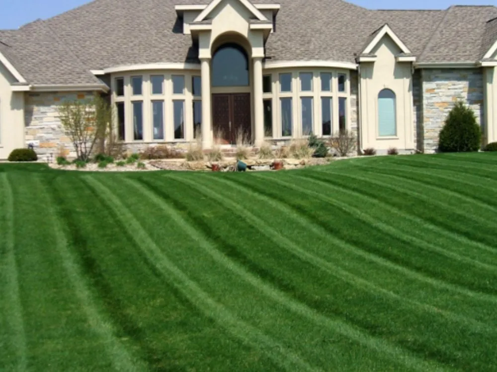 Top-rated yard cleanup service in Ellisville, MO by Ryan's Express Complete Lawn Service