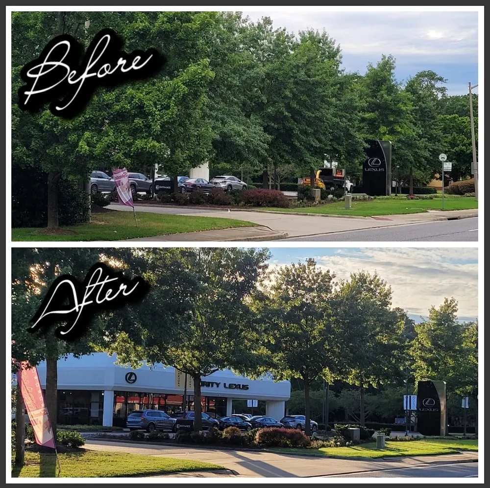 Custom residential landscaping experts serving Yorktown, VA - Ryan's Land And Tree Service