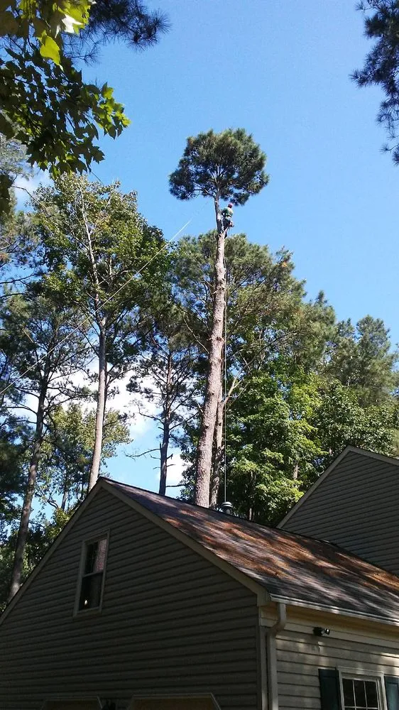 Professional landscaping services for outdoor upgrades across Yorktown, VA - Ryan's Land And Tree Service