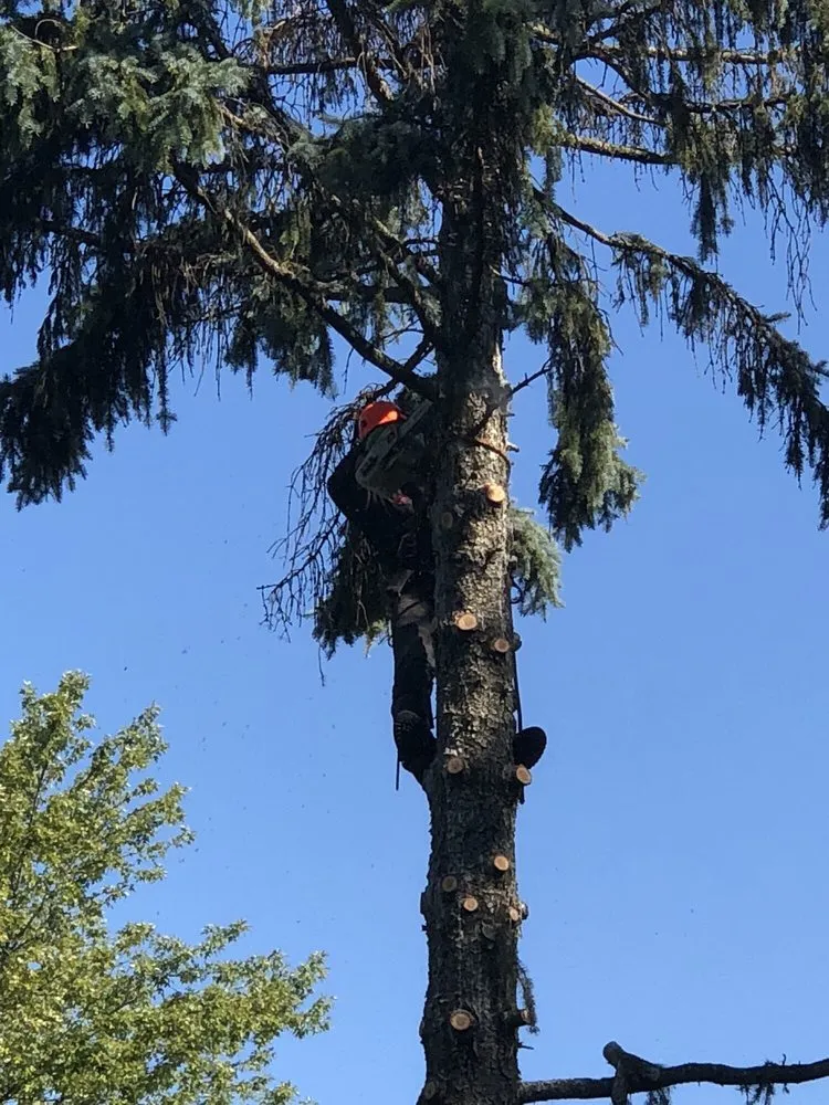 Expert landscaping services for residential properties across Lisle, IL - Ryan's Landscape