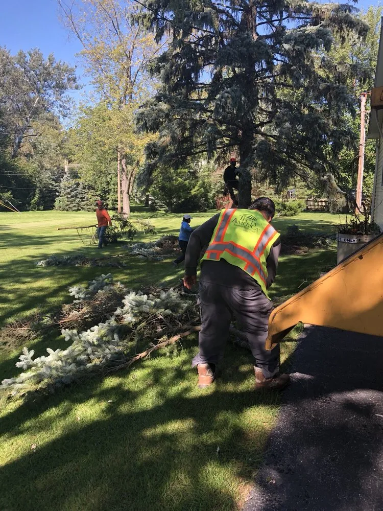 Local yard cleanup service in Lisle, IL - Ryan's Landscape