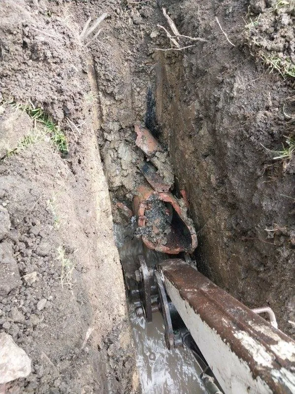 Local residential landscaping for residential properties in Lisle, IL by Ryan's Landscape