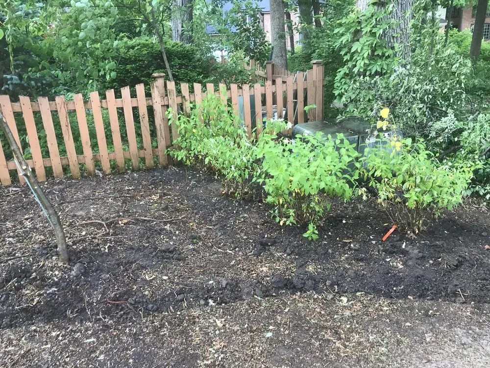 Reliable yard maintenance near you across Lisle, IL - Ryan's Landscape