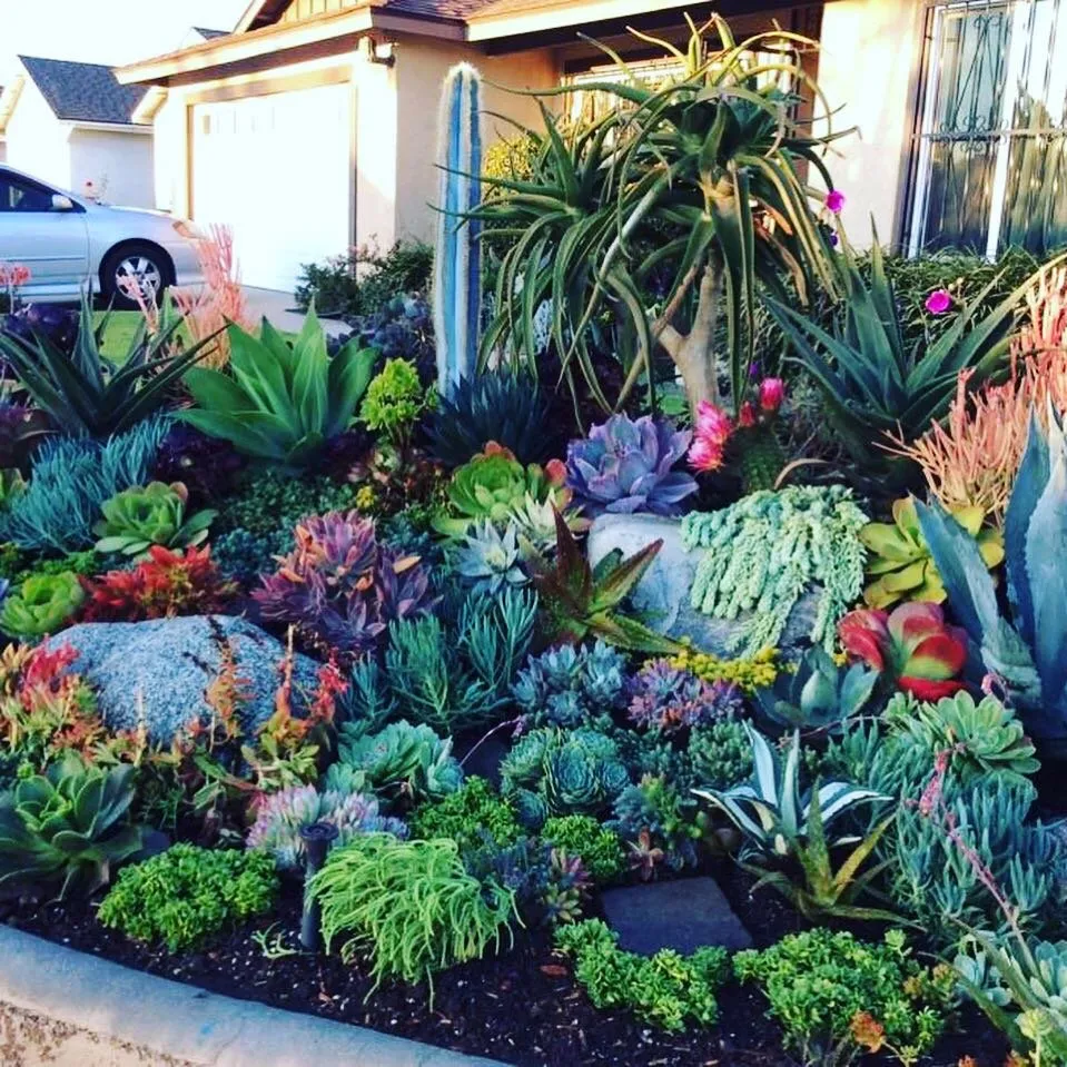 Affordable lawn care service for year-round maintenance across Glendora, CA - Ryan's Landscaping