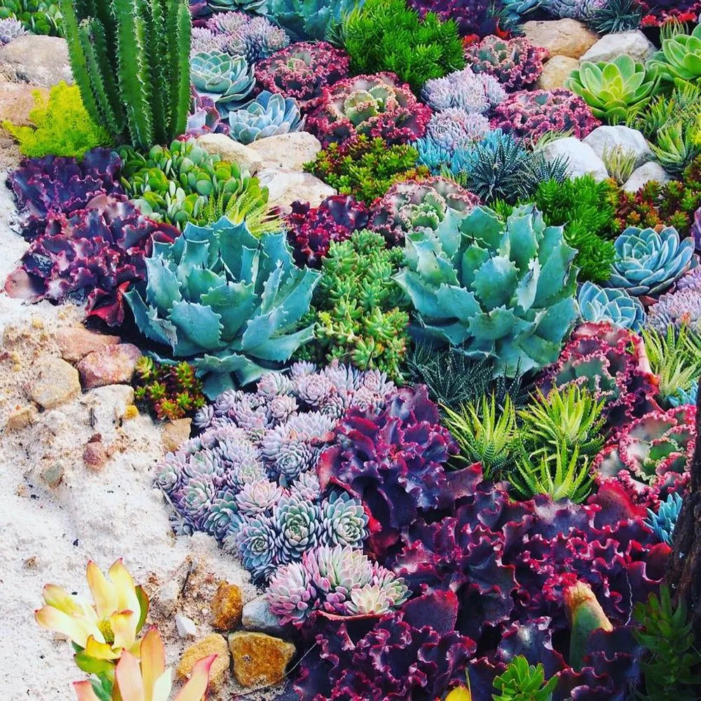 Trusted outdoor landscaping experts serving Glendora, CA - Ryan's Landscaping