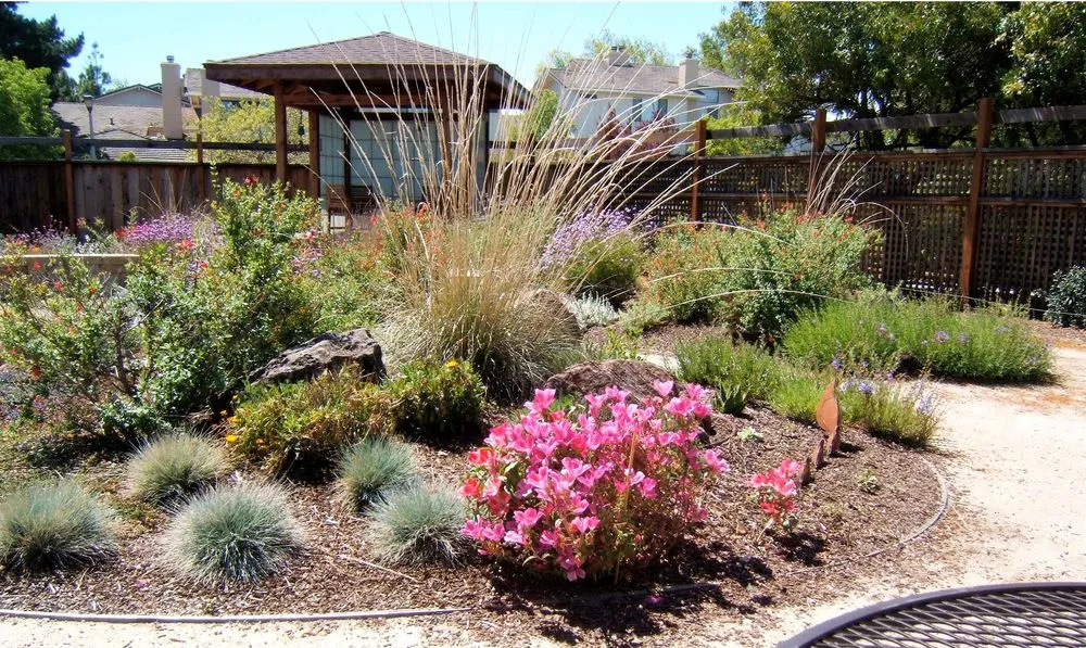 Reliable yard maintenance near you across Glendora, CA - Ryan's Landscaping