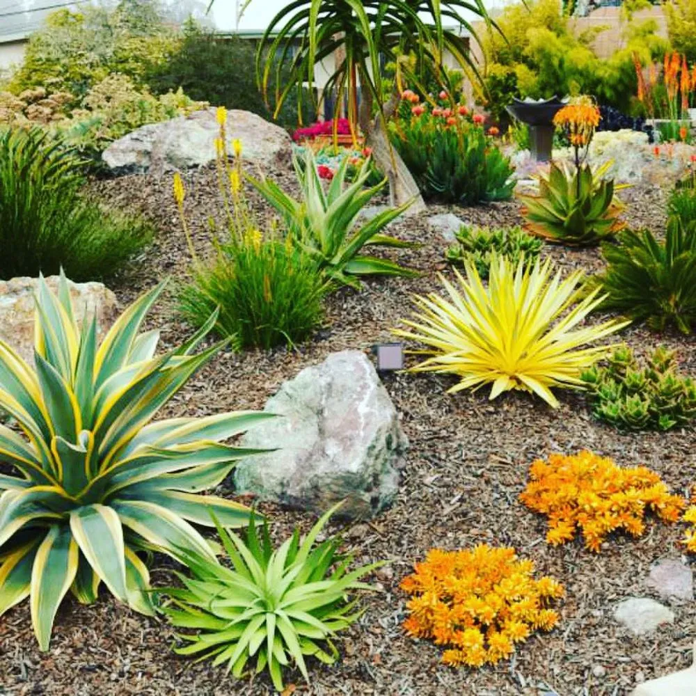 Trusted landscaping services near you across Glendora, CA - Ryan's Landscaping