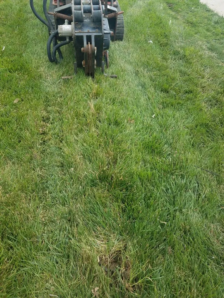 Custom lawn mowing service in Lees Summit, MO - Ryan's Landscaping