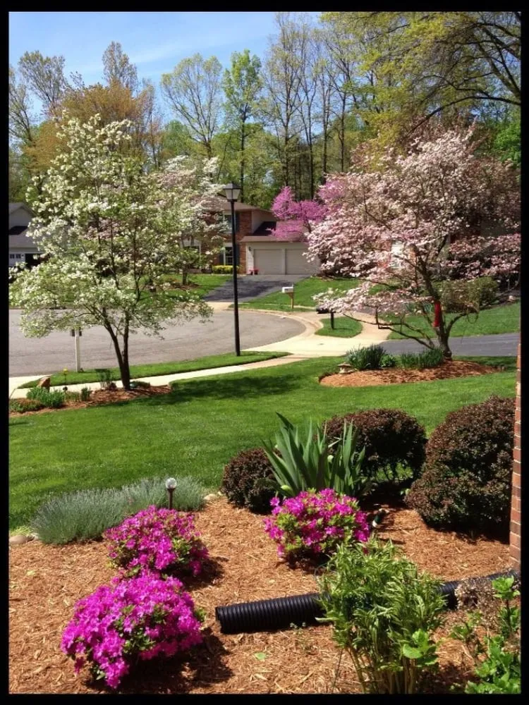Local landscape installation experts serving Springfield, VA - Ryan's Landscaping