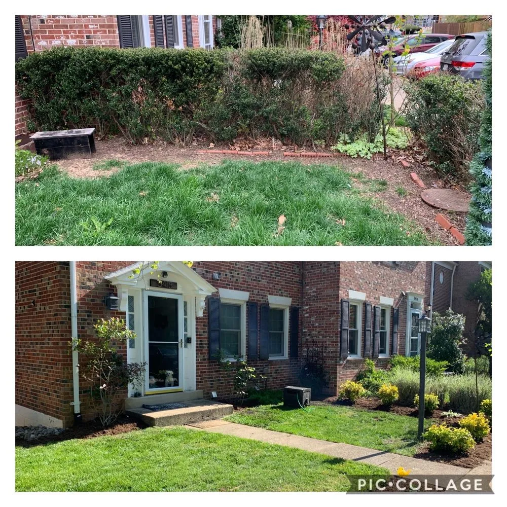 Professional landscape installation for outdoor upgrades across Springfield, VA - Ryan's Landscaping