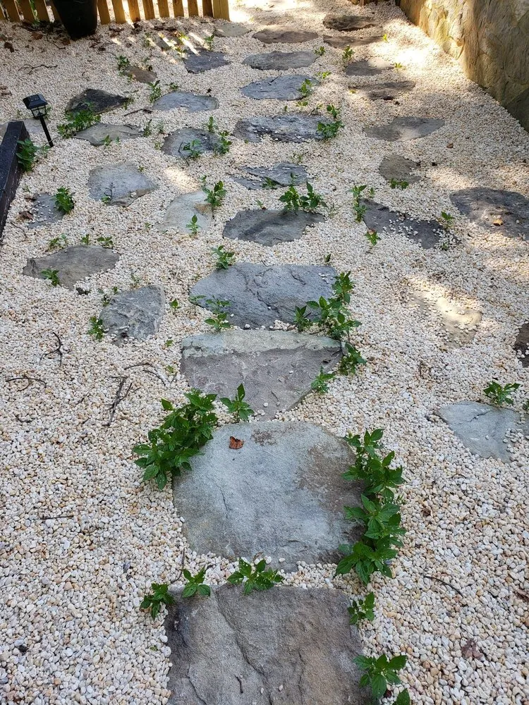 Custom landscaping services near you in Springfield, VA by Ryan's Landscaping