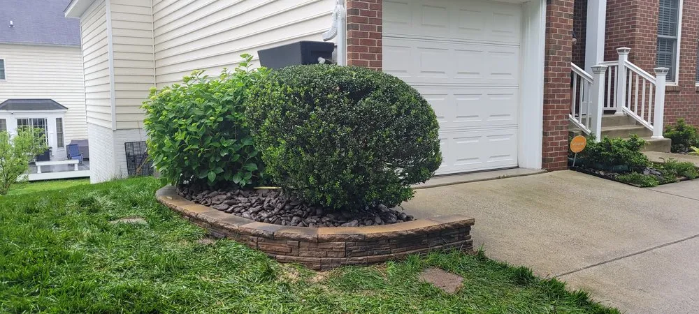 Expert landscaping services experts serving Springfield, VA - Ryan's Landscaping