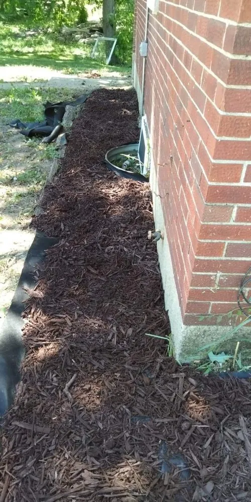 Affordable yard maintenance in Waukegan, IL by Ryans Landscaping