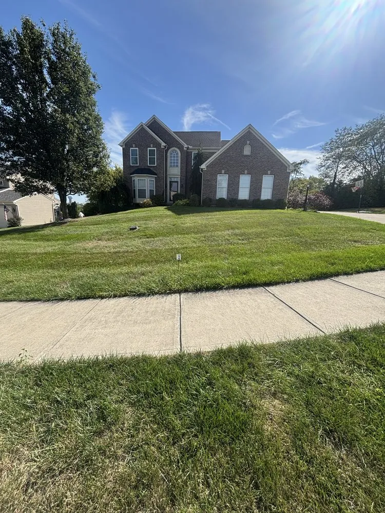 Top-rated landscape installation for year-round maintenance in Norwood, OH by Ryans Lawn & Auto