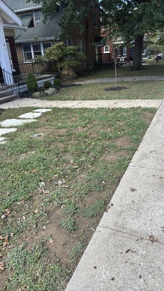 Local residential landscaping in Norwood, OH by Ryans Lawn & Auto