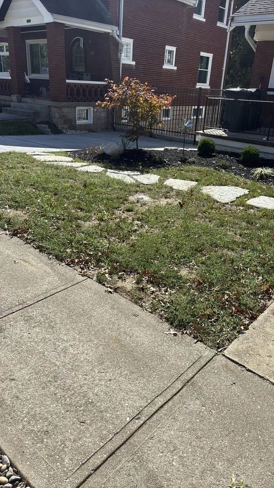Affordable yard cleanup service for residential properties across Norwood, OH - Ryans Lawn & Auto
