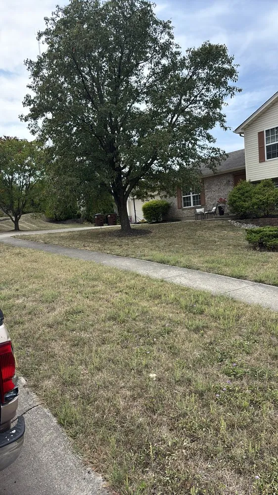 Professional landscape installation in Norwood, OH - Ryans Lawn & Auto