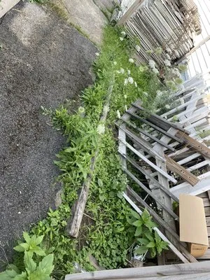 Ryan’s Lawn Care & Handyman Services Logo