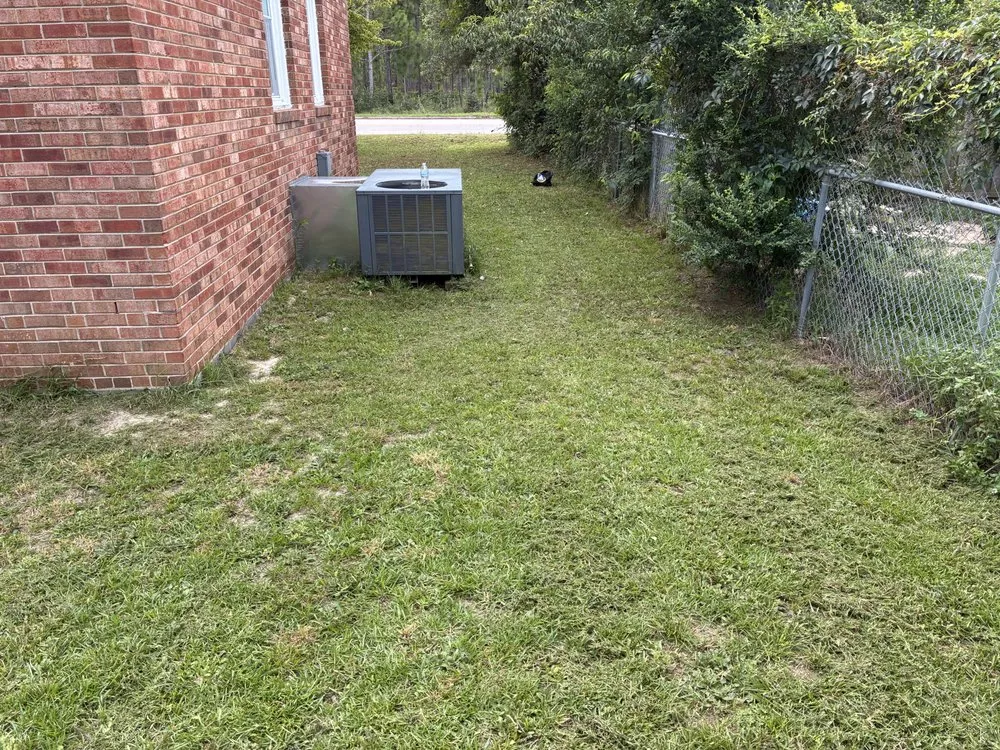 Affordable yard cleanup service in Fayetteville, NC by Ryan's Lawn Care
