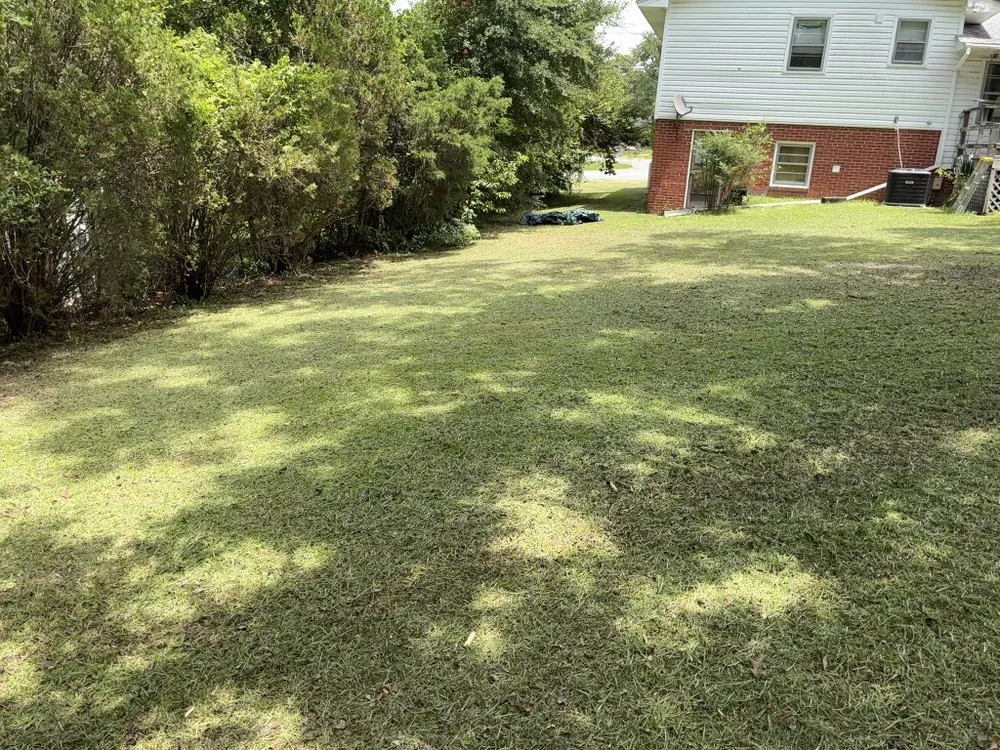 Top-rated residential landscaping in Fayetteville, NC - Ryan's Lawn Care