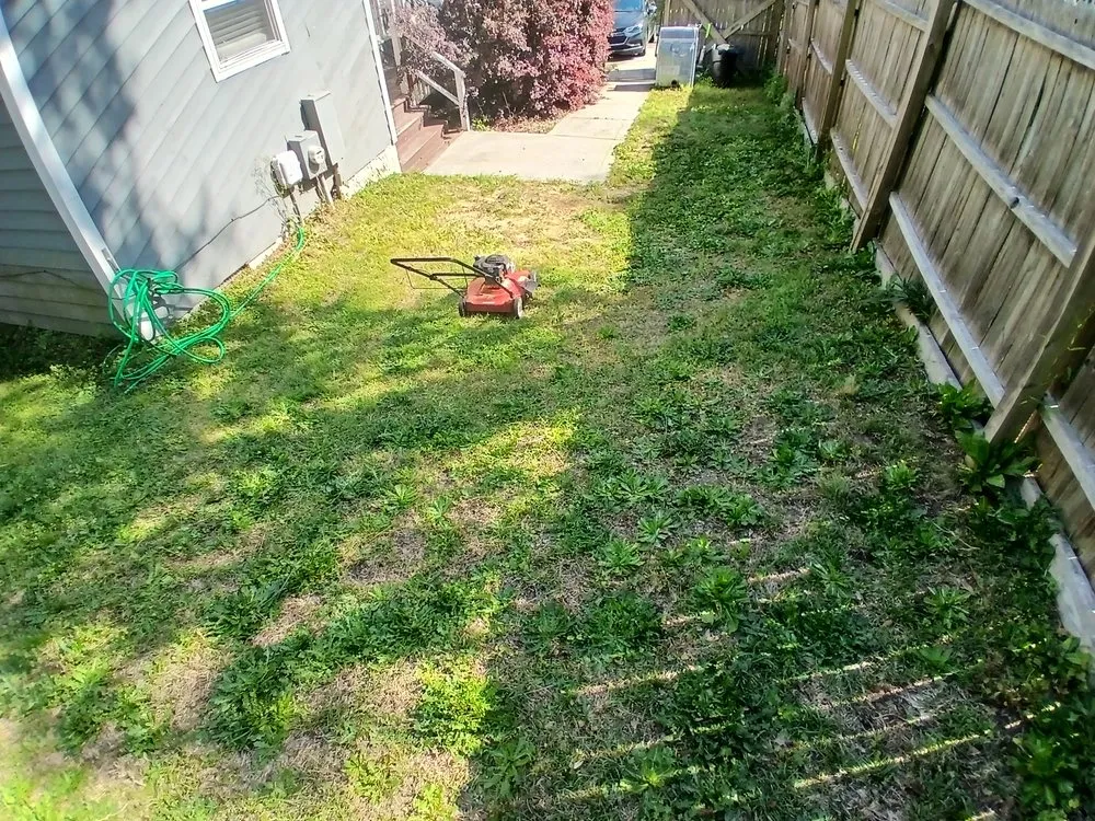 Top-rated landscaping services near you in Fayetteville, NC by Ryan's Lawn Care Services