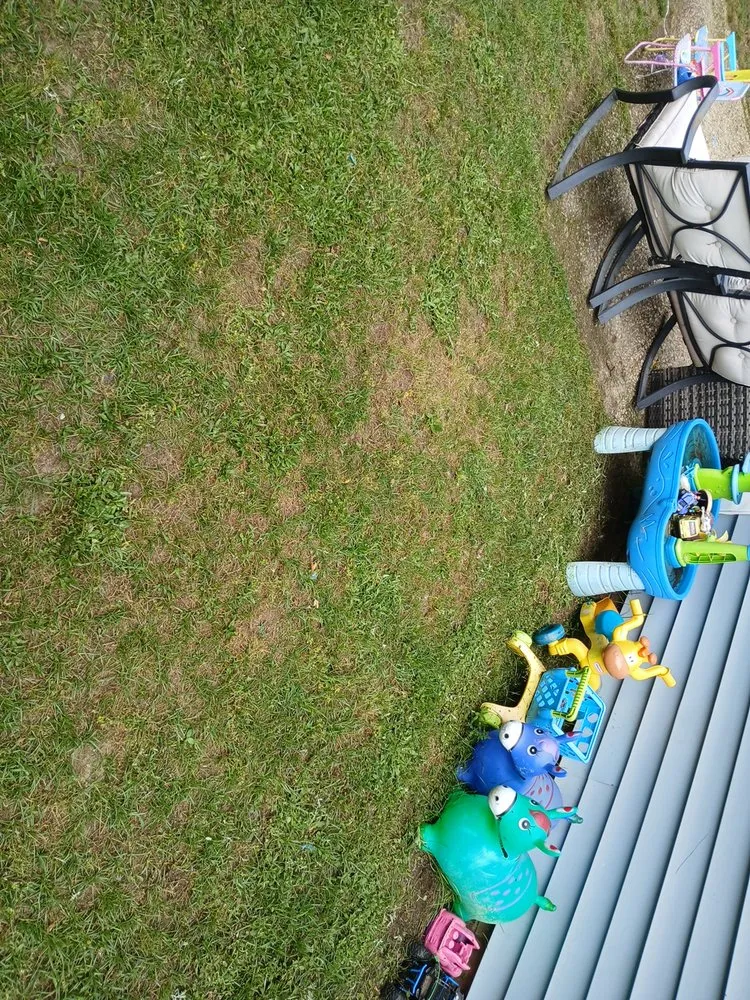 Expert landscape design in Fayetteville, NC - Ryan's Lawn Care Services