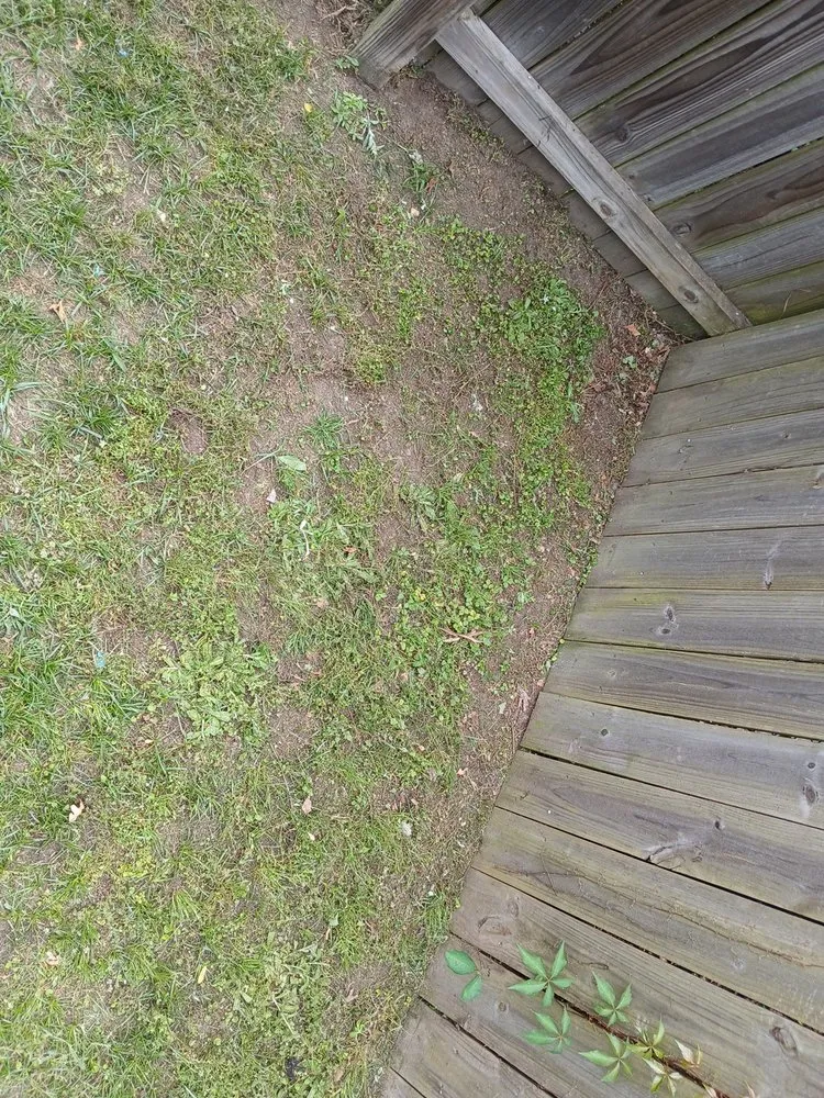 Reliable landscaping services for beautiful yards across Fayetteville, NC - Ryan's Lawn Care Services