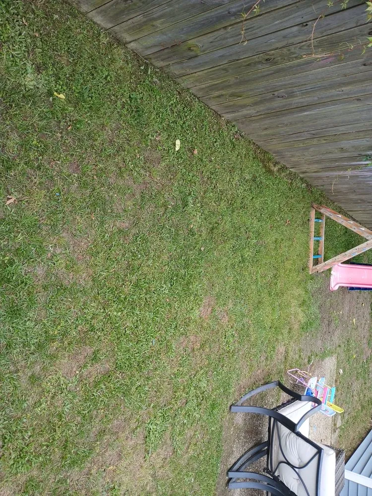 Expert lawn mowing service in Fayetteville, NC - Ryan's Lawn Care Services