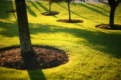 Reliable landscaping services in Lebanon, TN by Ryan's Lawn Care Services