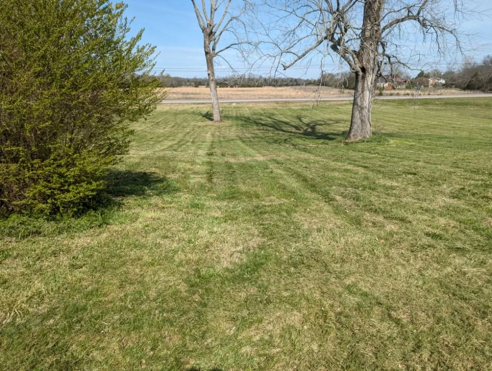 Trusted yard cleanup service for beautiful yards in Lebanon, TN by Ryan's Lawn Care Services