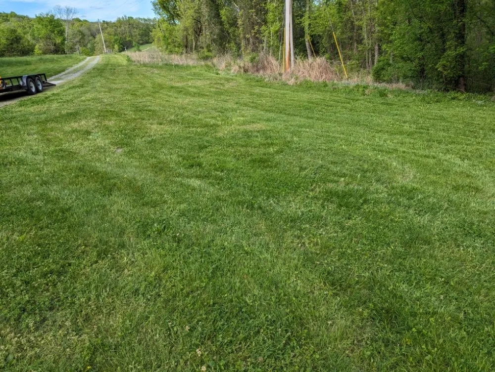 Custom lawn care service experts serving Lebanon, TN - Ryan's Lawn Care Services