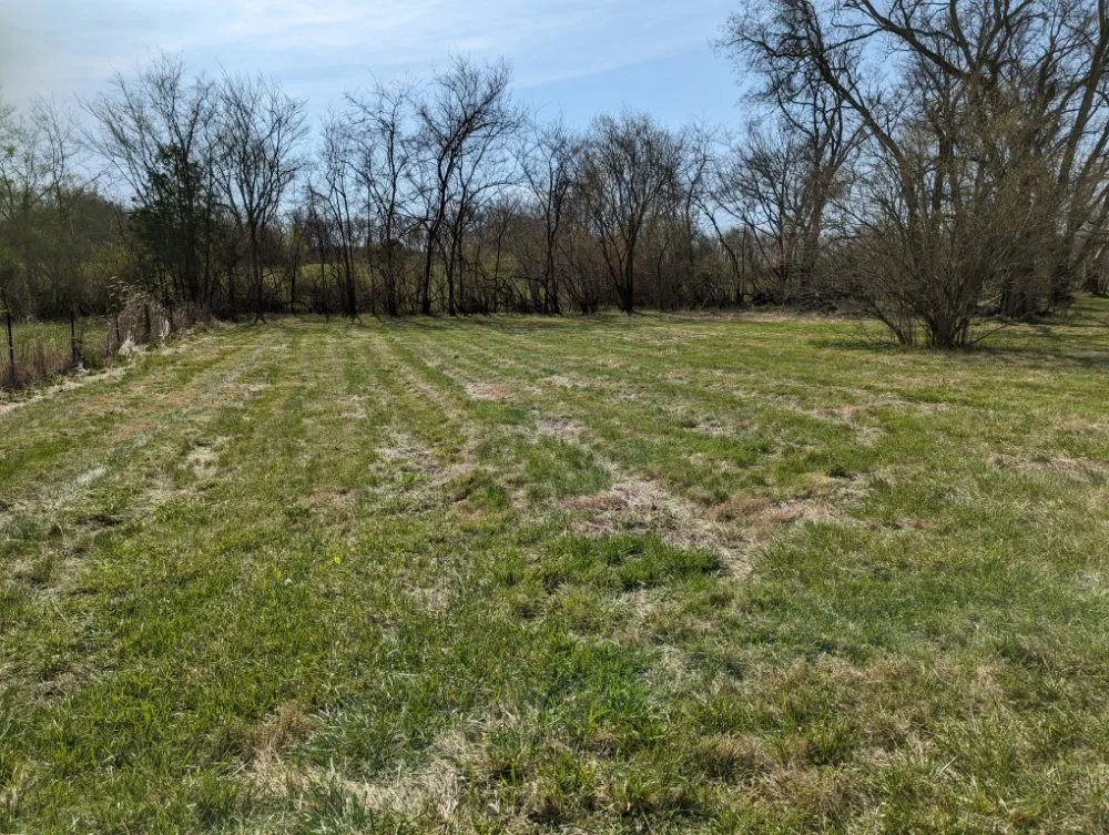 Affordable yard maintenance in Lebanon, TN - Ryan's Lawn Care Services