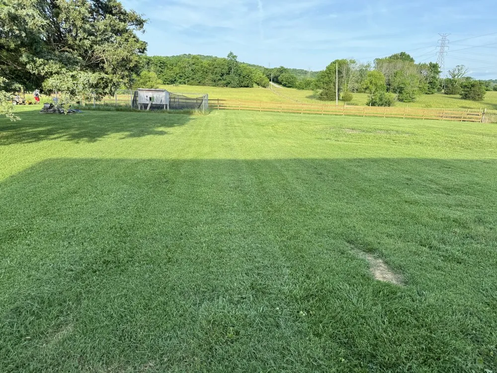 Expert landscape installation in Lebanon, TN - Ryan's Lawn Care Services