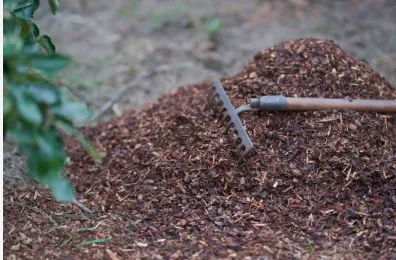 Expert outdoor landscaping experts serving Lebanon, TN - Ryan's Lawn Care Services