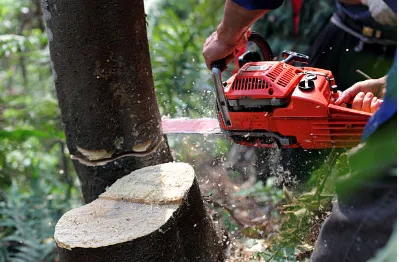 Local yard maintenance near you in Lebanon, TN by Ryan's Lawn Care Services