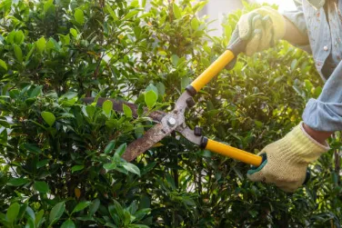 Reliable garden landscaping for homes in Lebanon, TN by Ryan's Lawn Care Services