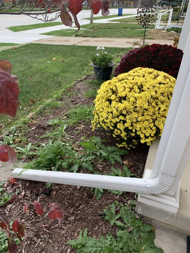 Top-rated yard maintenance for outdoor upgrades in Warren, MI by Ryan's Lawn Service