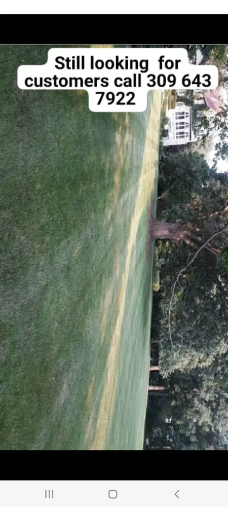 Affordable lawn care service for residential properties across Bellevue, IL - Ryans lawncare