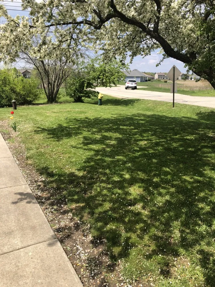 Affordable outdoor landscaping in Racine, WI by Ryan’s lawncare