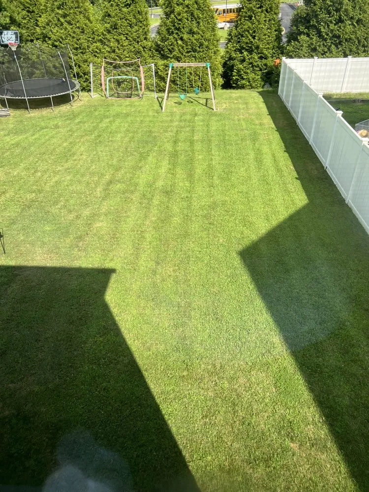 Reliable yard cleanup service for residential properties across Ruther Glen, VA - Ryans Lawncare