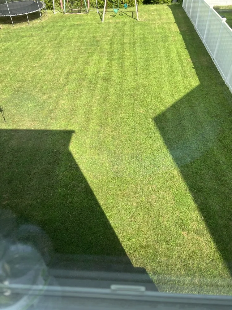 Top-rated outdoor landscaping experts serving Ruther Glen, VA - Ryans Lawncare