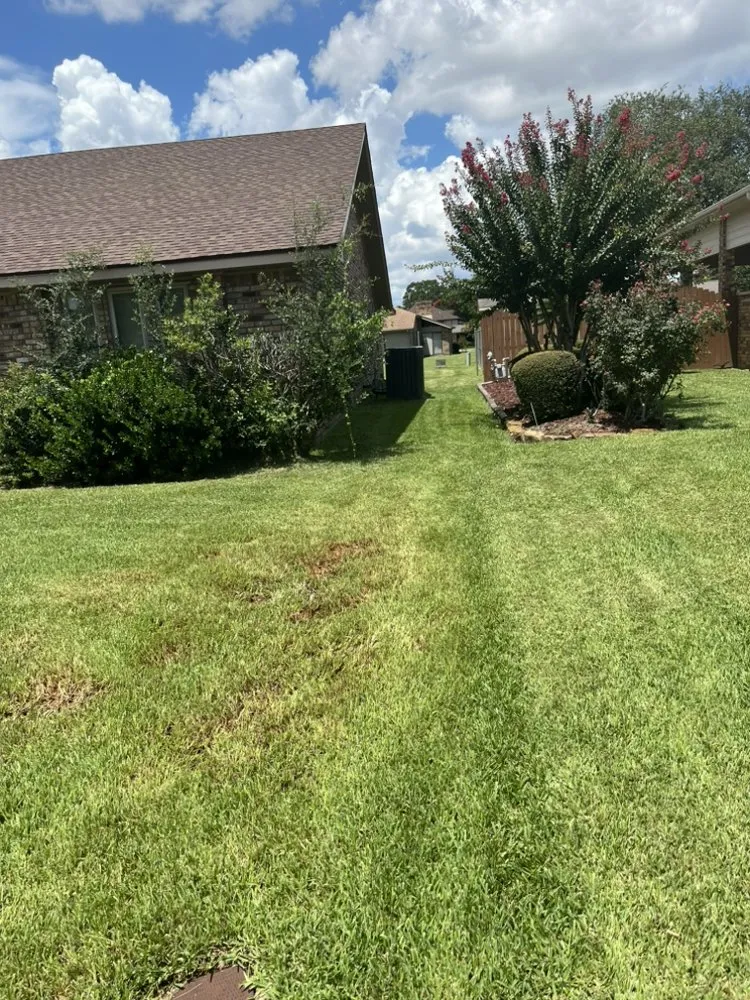 Reliable residential landscaping experts serving Nederland, TX - Ryan’s Local Lawn Service