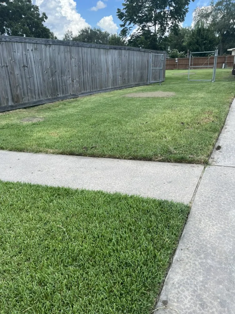 Professional landscaping services experts serving Nederland, TX - Ryan’s Local Lawn Service