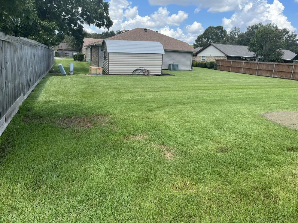 Professional yard cleanup service in Nederland, TX by Ryan’s Local Lawn Service