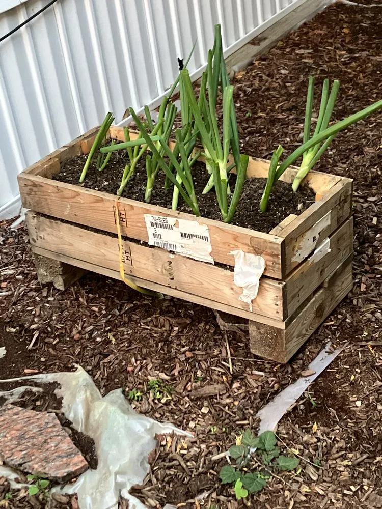 Trusted residential landscaping in Zionsville, IN by Ryan’s Mowing