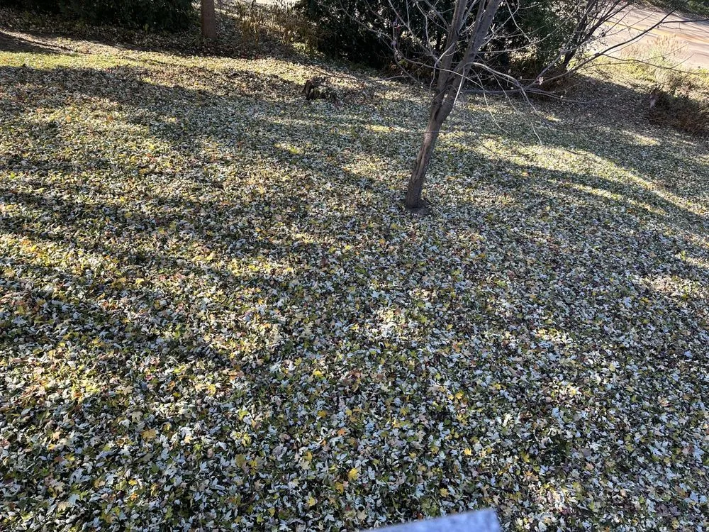 Reliable outdoor landscaping in Dubuque, IA by Ryan’s Outdoor Services