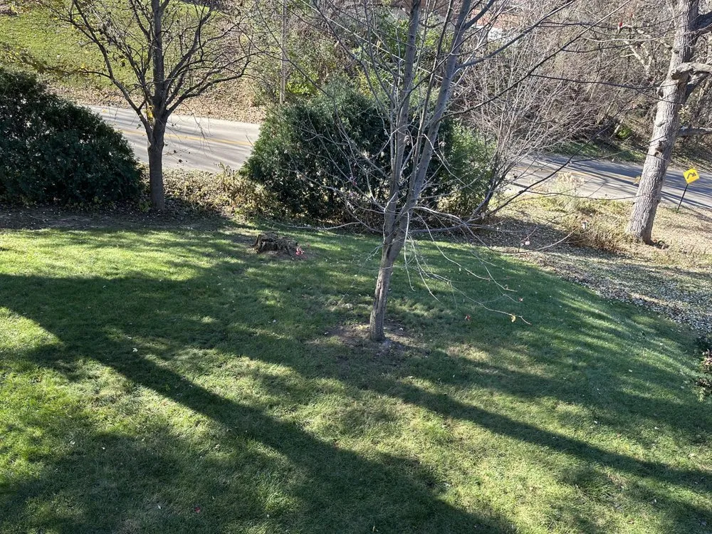 Reliable lawn mowing service with custom design in Dubuque, IA by Ryan’s Outdoor Services